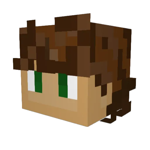 BaylesofHay4164 Minecraft avatar head, 3D render