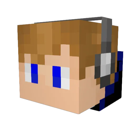 BayleyBean Minecraft avatar head, 3D render