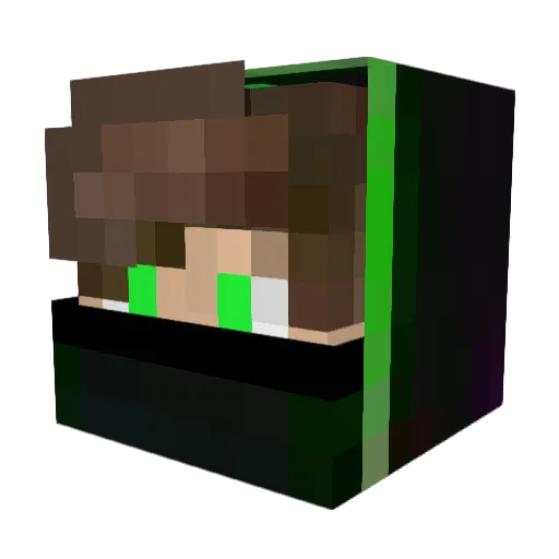 BayleyWray243 Minecraft avatar head, 3D render