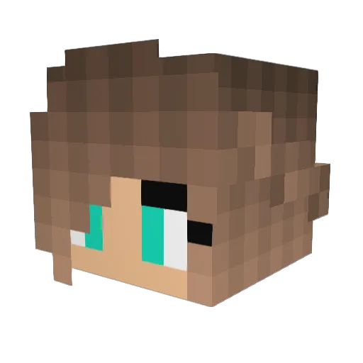 BayleyY Minecraft avatar head, 3D render