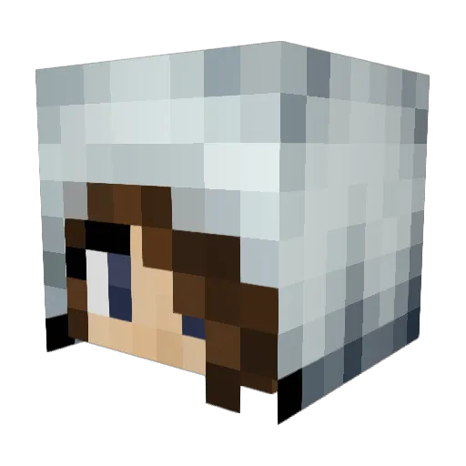 Bayli25 Minecraft avatar head, 3D render