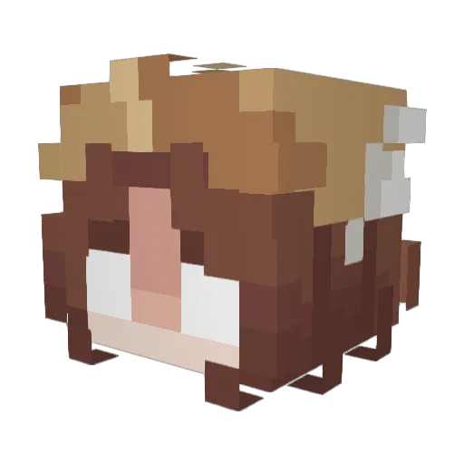 Baylo_3 Minecraft avatar head, 3D render