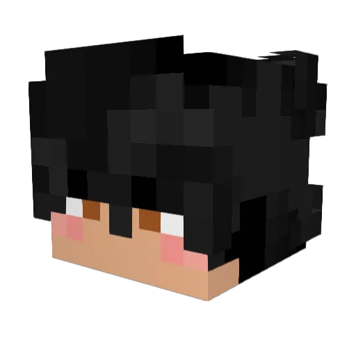 Baylord Minecraft avatar head, 3D render