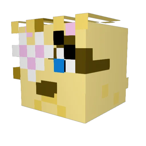 Bayman075 Minecraft avatar head, 3D render