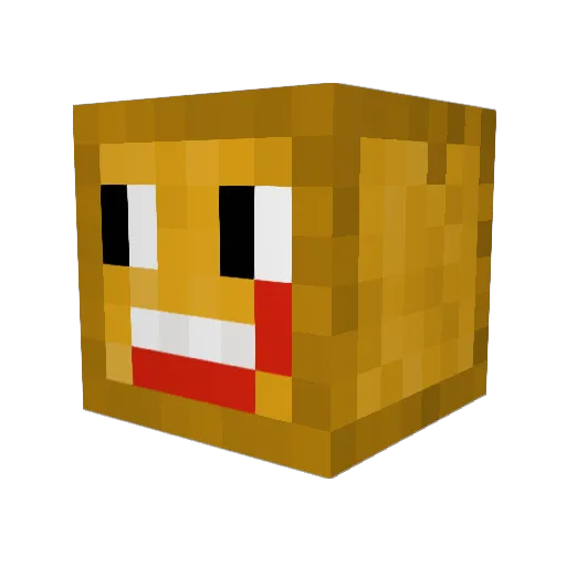 Bayside_ Minecraft avatar head, 3D render
