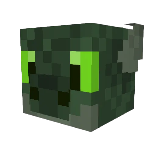 Baywolf2021 Minecraft avatar head, 3D render