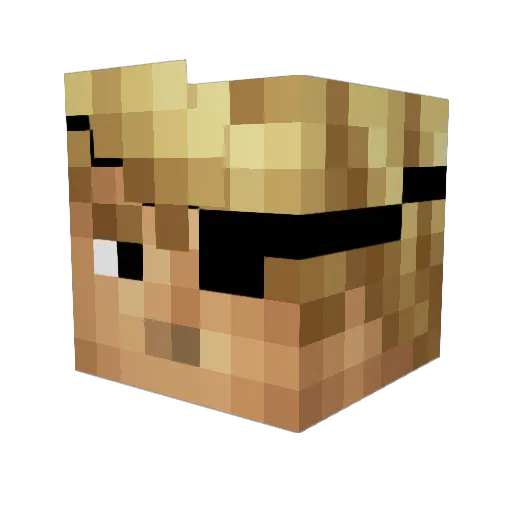Bayzl_ Minecraft avatar head, 3D render