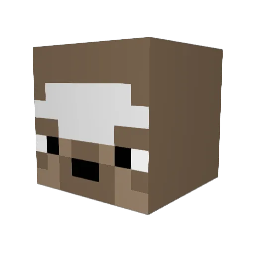 Baz27 Minecraft avatar head, 3D render