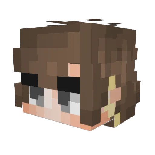 Bazantino Minecraft avatar head, 3D render