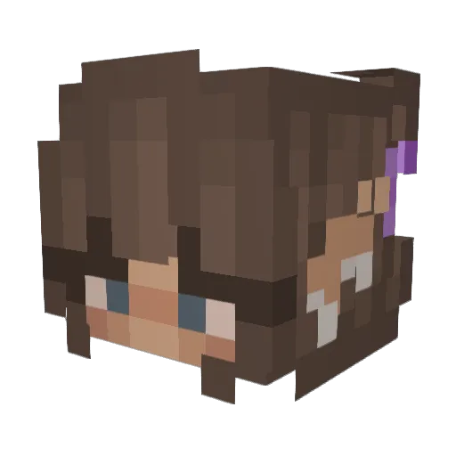 Bazarith Minecraft avatar head, 3D render