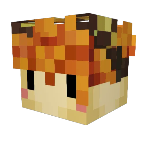 Bazels_ Minecraft avatar head, 3D render