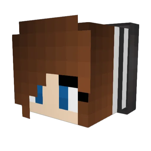Bazeybug Minecraft avatar head, 3D render