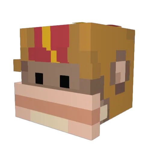 Bazinga_tron Minecraft avatar head, 3D render