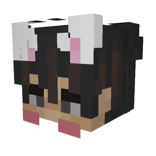Bazingus Minecraft avatar head, 3D render