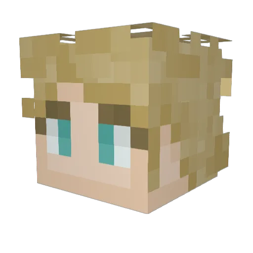 Bazingus_ Minecraft avatar head, 3D render