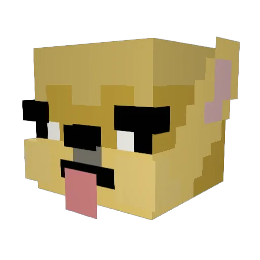 Bazoonal007 Minecraft avatar head, 3D render