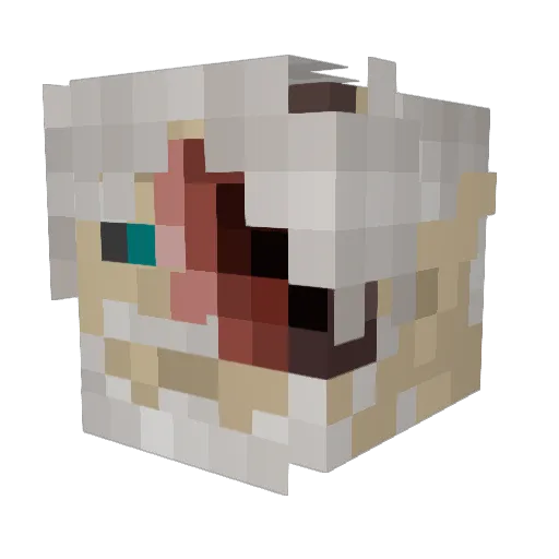 Bazzar__ Minecraft avatar head, 3D render