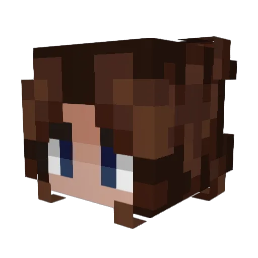 BbSilva Minecraft avatar head, 3D render