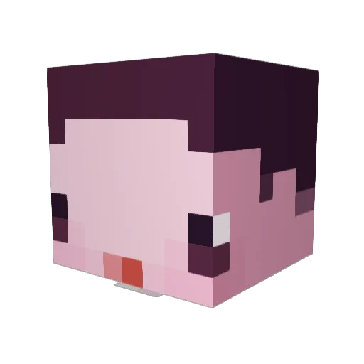 BbakKim1 Minecraft avatar head, 3D render