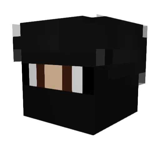 BbalL007 Minecraft avatar head, 3D render