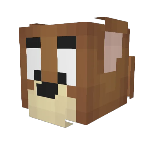 Bbbab123 Minecraft avatar head, 3D render