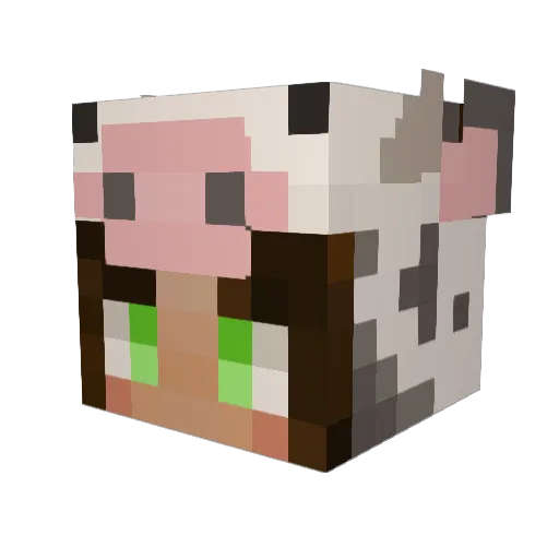 Bbeth055 Minecraft avatar head, 3D render