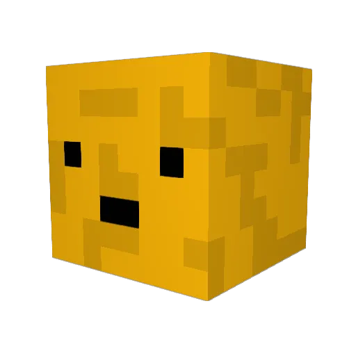 Bbigbird23 Minecraft avatar head, 3D render
