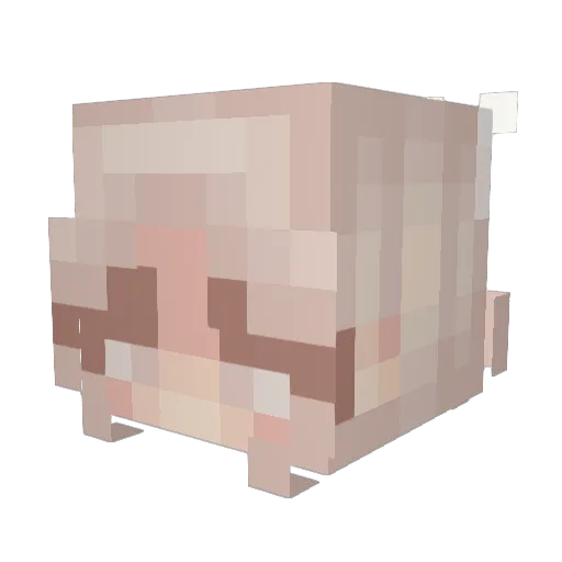 BbtMochi Minecraft avatar head, 3D render