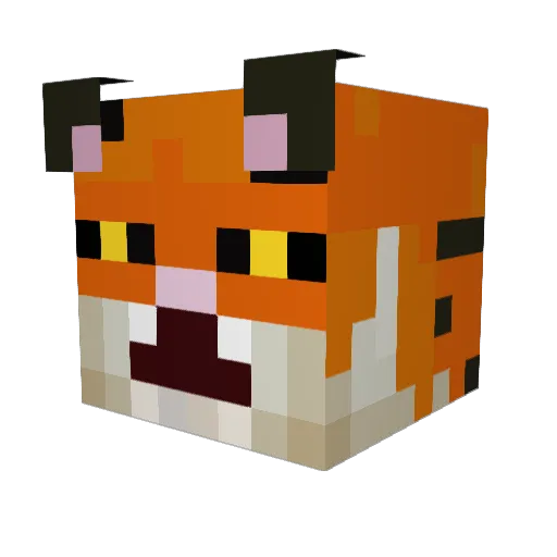 Bbxhoes Minecraft avatar head, 3D render