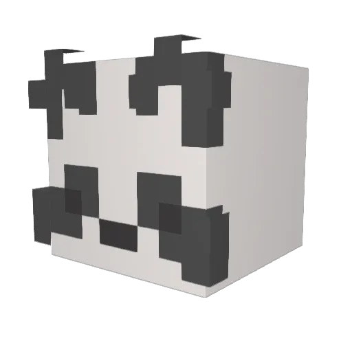 Bbypwo1 Minecraft avatar head, 3D render