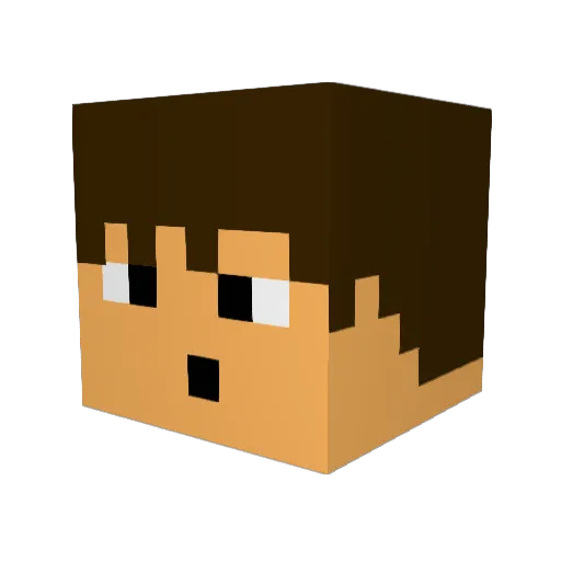 Bcaff1776 Minecraft avatar head, 3D render