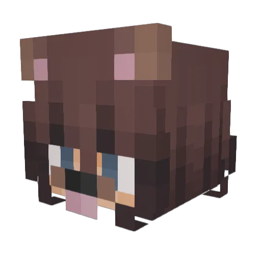 Minecraft-Avatar von Bcell626: Kopf als 3D-Render