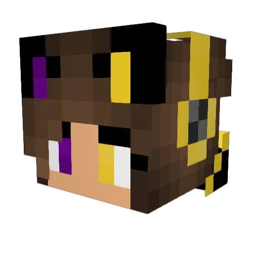 Bcgft Minecraft avatar head, 3D render