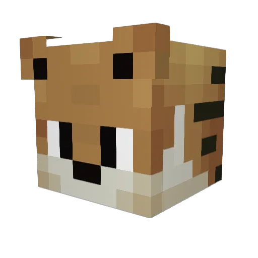 Bcool123 Minecraft avatar head, 3D render