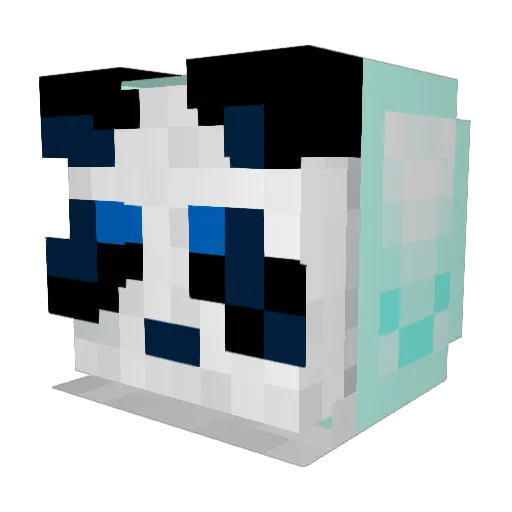 Bcrusht Minecraft avatar head, 3D render