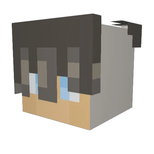 BdaAwesome Minecraft avatar head, 3D render