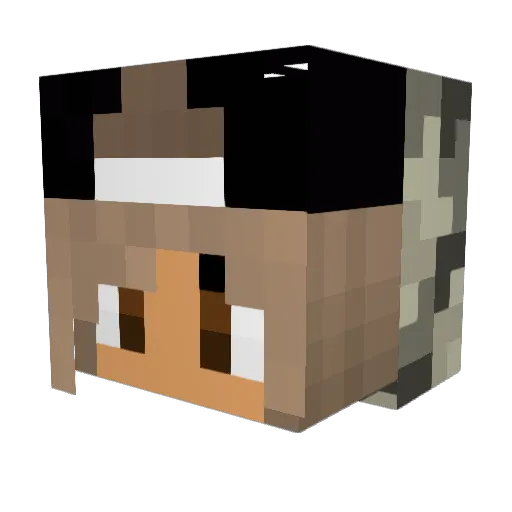 Bdawgjp Minecraft avatar head, 3D render
