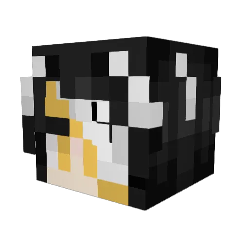 Bdjylka Minecraft avatar head, 3D render