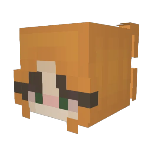 BdotX2 Minecraft avatar head, 3D render
