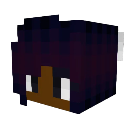 Bdub325 Minecraft avatar head, 3D render