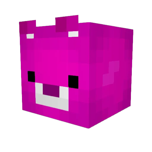 Bdubs_13 Minecraft avatar head, 3D render