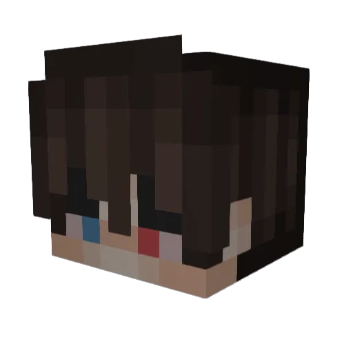 Bduub Minecraft avatar head, 3D render