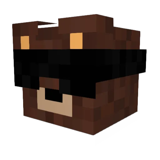 BeArY_SwEeT Minecraft avatar head, 3D render