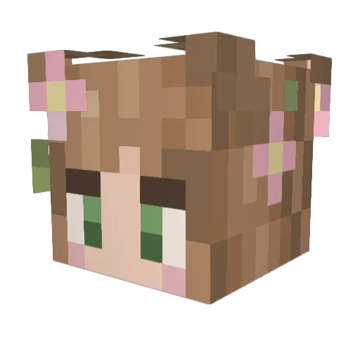 BeBe_TT Minecraft avatar head, 3D render