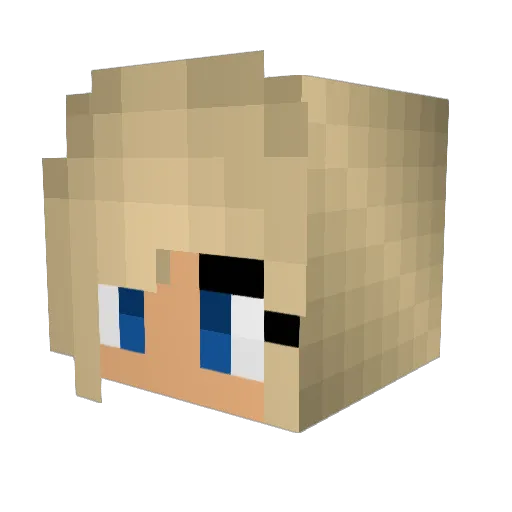 BeBoo7227 Minecraft avatar head, 3D render