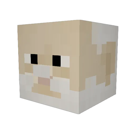 BeFalkoni Minecraft avatar head, 3D render