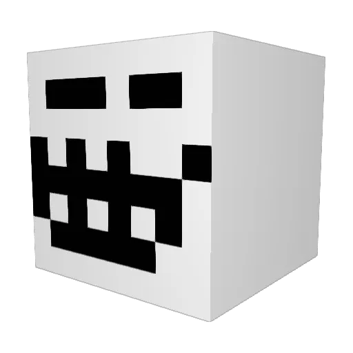 BeFisher765 Minecraft avatar head, 3D render