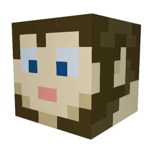 BeFriendly Minecraft avatar head, 3D render