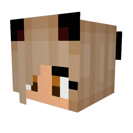 BeIIeDelphine Minecraft avatar head, 3D render