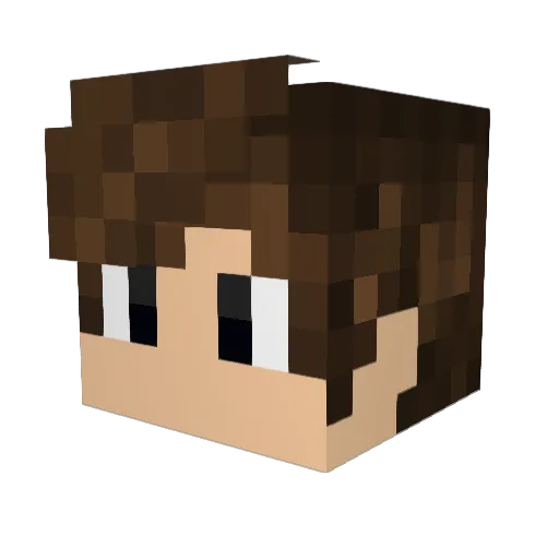 BeNEee Minecraft avatar head, 3D render